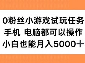0粉丝小游戏试玩任务,手机电脑都可以操作,小白也能月入5000+【揭秘】