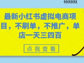 最新小红书虚拟电商项目,不刷单,不推广,单店一天三四百