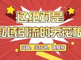 最新首发全平台引流玩法,公域引流私域玩法,轻松获客500+,附引流脚本,克隆截流自热玩法【揭秘】