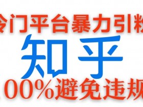 冷门平台暴力引流,日引100+创业粉,0成本100%避免违规的玩法