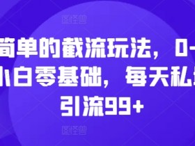 简单的截流玩法，0-1小白零基础，每天私域引流99+【揭秘】