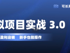 虚拟项目实战3.0，打造自动盈利店铺，可长期操作投入低，新手也能操作