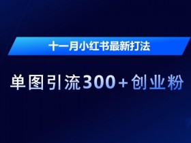十一月小红书最新打法,单图引流300+创业粉【揭秘】