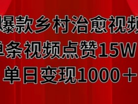 爆款乡村治愈视频，单条视频点赞15W+单日变现1k