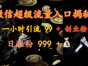 微信超级流量入口揭秘:一小时引流 99 + 创业粉,日涨粉 999 +