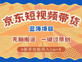 最新京东短视频蓝海带货项目,无需剪辑无脑搬运,一键过原创,有手就能赚,新手也能月入1w+