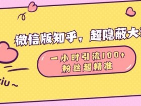 微信版知乎,超隐蔽流量入口1小时引流100人,粉丝质量超高【揭秘】