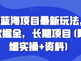 高德蓝海项目最新玩法,无限次掘金,长期项目(附详细实操+资料)