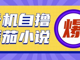 首发云手机自撸小说玩法,10块钱成本可撸200+收益操作简单【揭秘】