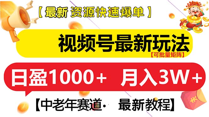 (13530期)视频号最新玩法 中老年赛道 月入3W+