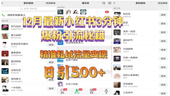 (13653期)12月最新小红书3分钟爆粉引流秘籍 精准私域流量变现 日引500+