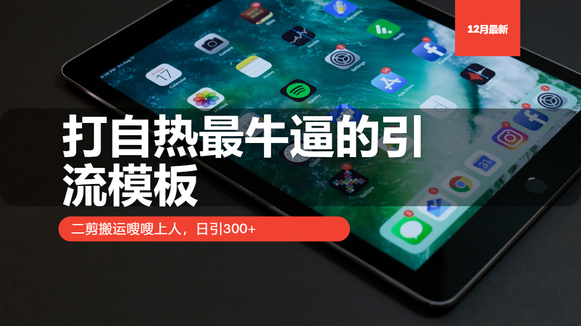 (13654期)打自热最牛逼的引流模板,二剪搬运嗖嗖上人,日引300+