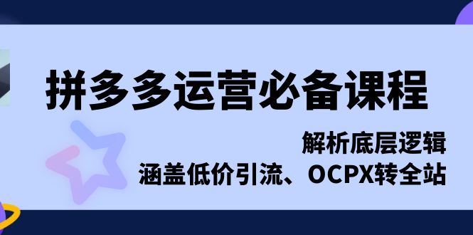 (13700期)拼多多运营必备课程,解析底层逻辑,涵盖低价引流、OCPX转全站