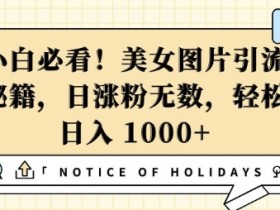 小白必看,美女图片引流秘籍,日涨粉无数,轻松日入几张【揭秘】