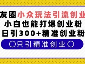 朋友圈小众玩法引流创业粉,小白也能打爆创业粉,日引300+精准创业粉【揭秘】