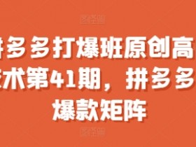 拼多多打爆班原创高阶技术第41期,拼多多小爆款矩阵