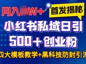首发揭秘小红书私域日引500+创业粉四大模板,月入过W+全程干货!没有废话!保姆教程!