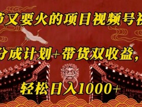 春节又要火的项目视频号祝福,分成计划+带货双收益,轻松日入几张【揭秘】