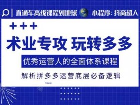 术业专攻玩转多多,优秀运营人的全面体系课程,解析拼多多运营底层必备逻辑