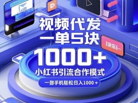 视频代发,一单5块,小红书引流合作模式,一部手机轻松日入多张【揭秘】