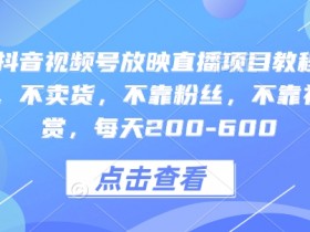 快手抖音视频号放映直播项目教程,不违规,不卖货,不靠粉丝,不靠礼物打赏,每天200-600