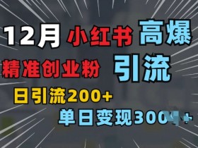 小红书一张图片“引爆”创业粉,单日+200+精准创业粉 可筛选付费意识创业粉【揭秘】