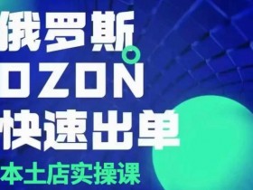 俄罗斯OZON本土店实操课,OZON本土店运营选品变现