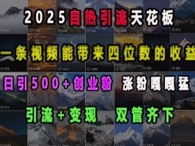 2025自热引流天花板,一条视频能带来四位数的收益,引流+变现双管齐下,日引500+创业粉,涨粉嘎嘎猛