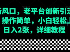 流量新风口,老平台创新引流隐藏玩法,操作简单,小白轻松上手,日入2张,详细教程