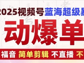 2025视频号蓝海超级暴利自动爆单术1.0 ,小白褔音 简单剪辑 不直播 不挂车