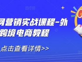 外贸全网营销实战课程-外贸跨境电商教程