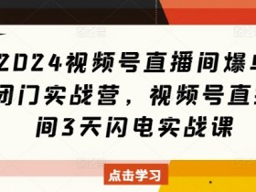 2024视频号直播间爆单闭门实战营,视频号直播间3天闪电实战课