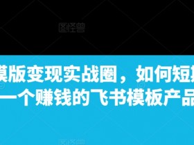飞书模版变现实战圈,如何短期搭建一个赚钱的飞书模板产品