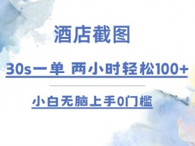 酒店截图 30s一单 2小时轻松100+ 小白无脑上手0门槛【仅揭秘】