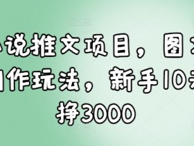 小说推文项目,图文创作玩法,新手10天挣3000