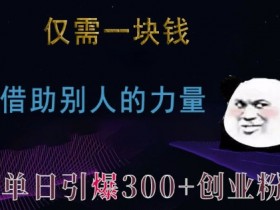 仅需一块钱,借助别人的力量,单日引爆300+创业粉、兼职粉【揭秘】