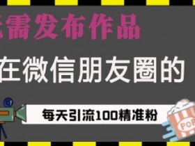 藏在微信朋友圈的流量密码,无需发布作品,单日引流100+精准创业粉【揭秘】