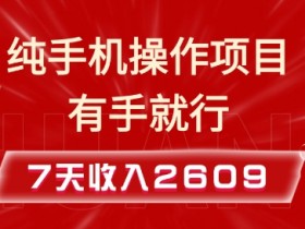 纯手机操作的小项目,有手就能做,7天收入2609+实操教程【揭秘】