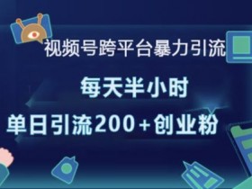 视频号跨平台暴力引流,每天半小时,单日引流200+精准创业粉