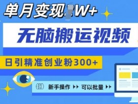 无脑搬运视频号可批量复制,新手即可操作,日引精准创业粉300+,月变现过W 【揭秘】