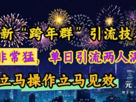 最新“跨年群”引流,流量非常猛,单日引流两人满人群,立马操作立马见效【揭秘】