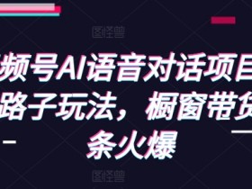 视频号AI语音对话项目,野路子玩法,橱窗带货条条火爆