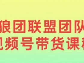 狼团联盟2024视频号带货,0基础小白快速入局视频号