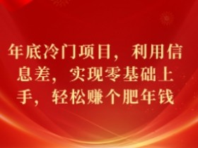 年底冷门项目,利用信息差,实现零基础上手,轻松赚个肥年钱【揭秘】