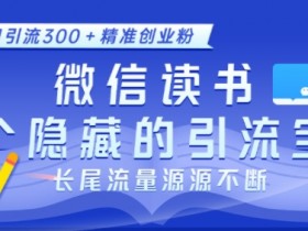微信读书,一个隐藏的引流宝地,不为人知的小众打法,日引流300+精准创业粉,长尾流量源源不断