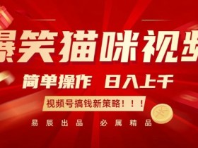 爆笑猫咪视频:简单操作,日入过K,视频号搞钱新策略【揭秘】