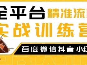 全平台精准流量实战训练营,百度微信抖音小红书SEO引流教程