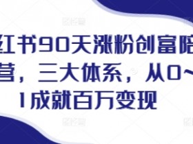 小红书90天涨粉创富陪跑营,三大体系,从0~1成就百万变现,做小红书的最后一站