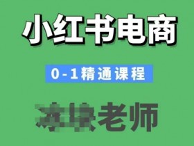 小红书电商0-1精通课程,小红书开店必学课程