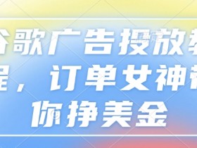 谷歌广告投放教程,订单女神带你挣美金